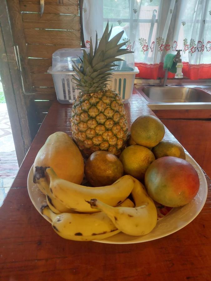 Cabana El Viejo Del Monte Венесия Экстерьер фото